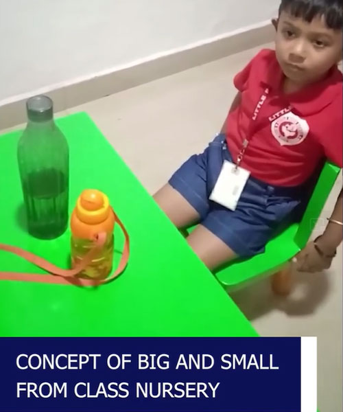 Concept of Big and Small from class nursery